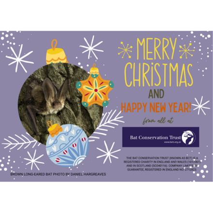 Send Christmas E-Cards eCards