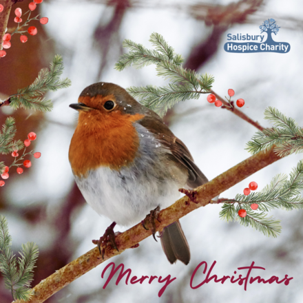 Send Christmas E-Cards eCards