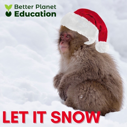 Send greener e-cards eCards