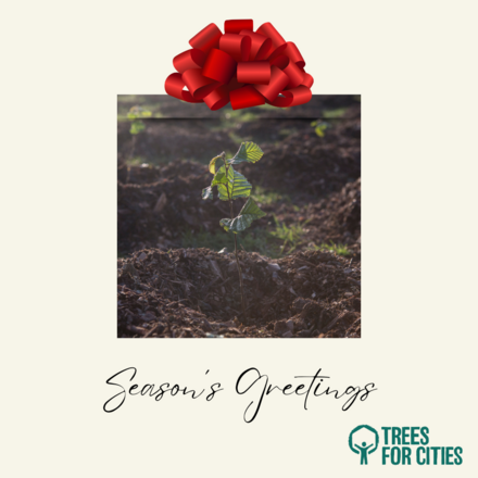 Send Christmas E-Cards eCards