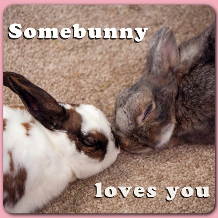 Send a Valentine's Day E-Card eCards