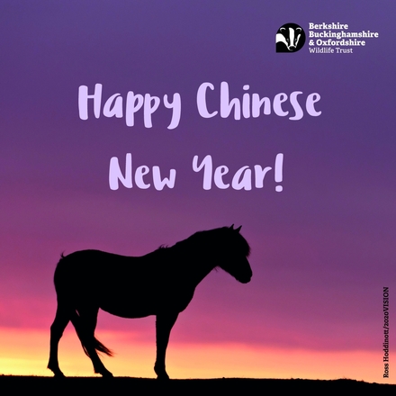 Send Chinese New Year e-cards eCards