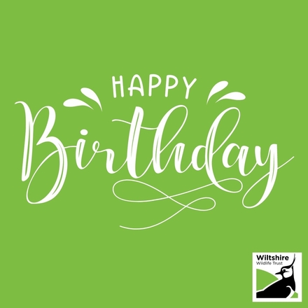 Send a Birthday E-Card eCards