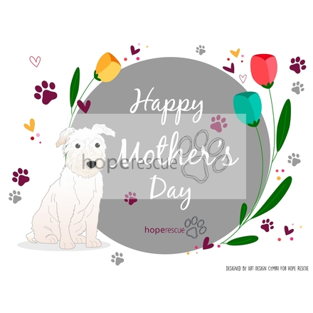 Send a Mother's Day e-Card eCards
