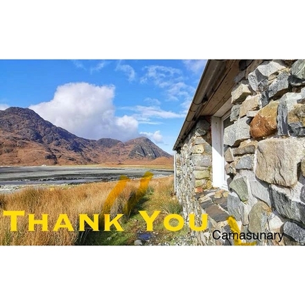 Send Thank You E-Cards eCards