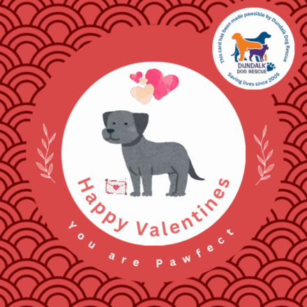 Send Valentines E-Cards  eCards