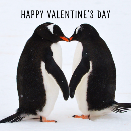 Send a Valentine's Day E-Card eCards