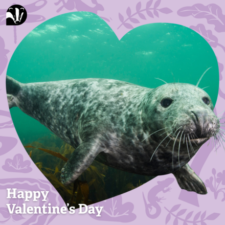 Send a Valentine's Day E-Card eCards