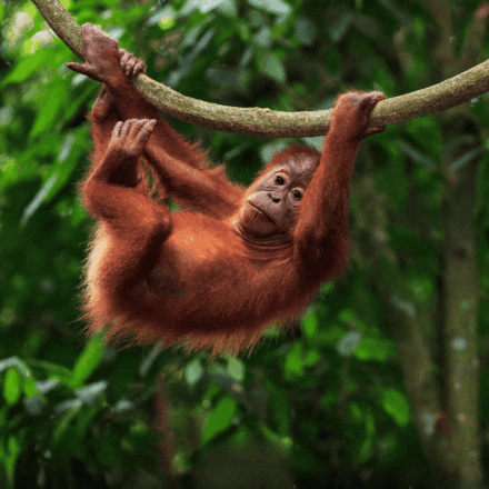 Send a Valentine's Day E-Card eCards