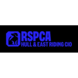 RSPCA Hull & East Riding eCards