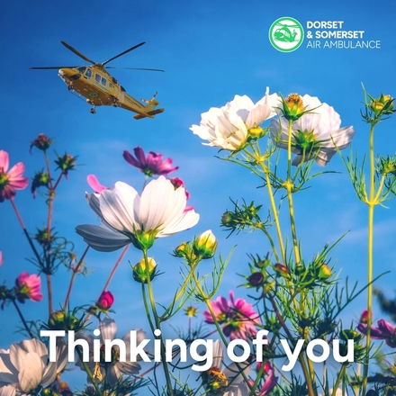 Send a thinking of you ecard eCards