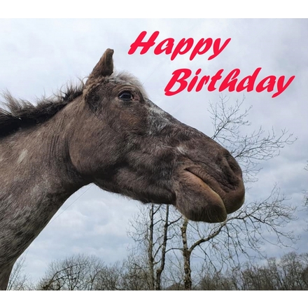 send e-birthday cards eCards