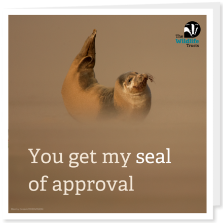 Send a Valentine's Day E-Card eCards