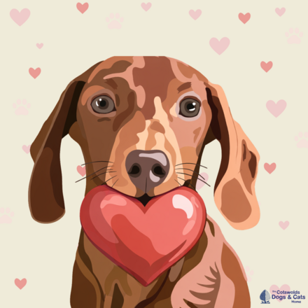 Send a Valentine's Day E-Card eCards