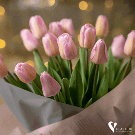 Send Thank You e-cards... eCards