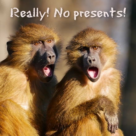 No cards from me, I'm doing trees! eCards