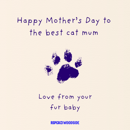 Send a Mother's Day E-Card eCards