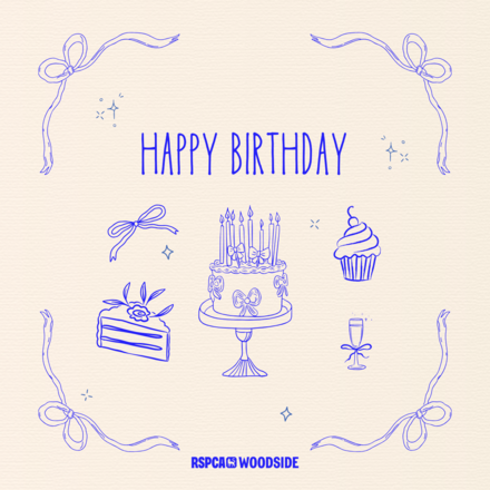 Send a Birthday E-Card eCards