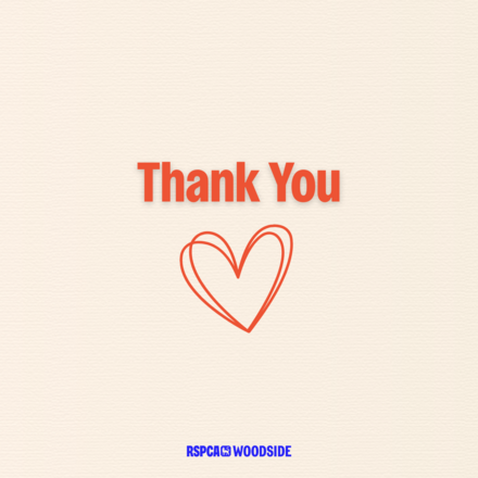 Send Thank You E-Cards eCards