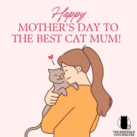 Send a Mother's Day E-Card eCards