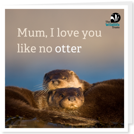 Send a Mother's Day E-Card eCards