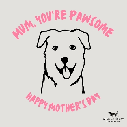 Send Mother's Day E-Cards eCards