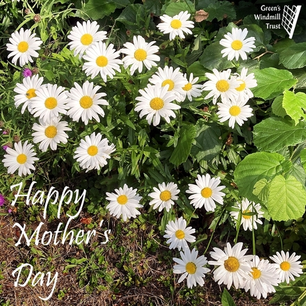 Send Mother's Day E-Cards eCards