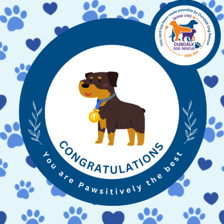 Send Congratulations E-Cards eCards