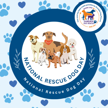 Rescue Dog Day eCards