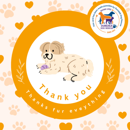 Send Thank You E-Cards  eCards