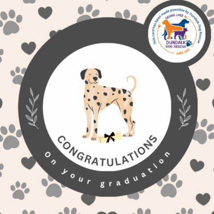 Send Graduation E-Cards eCards