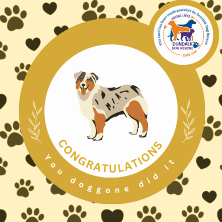 Send Good Luck E-Cards  eCards