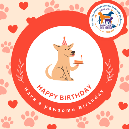 Send a Birthday E-Card eCards