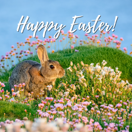 Send Easter E-Cards eCards