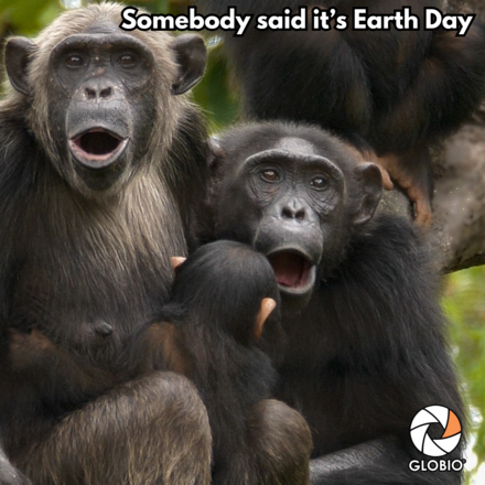 Send e-Cards to celebrate our planet with your loved ones  eCards