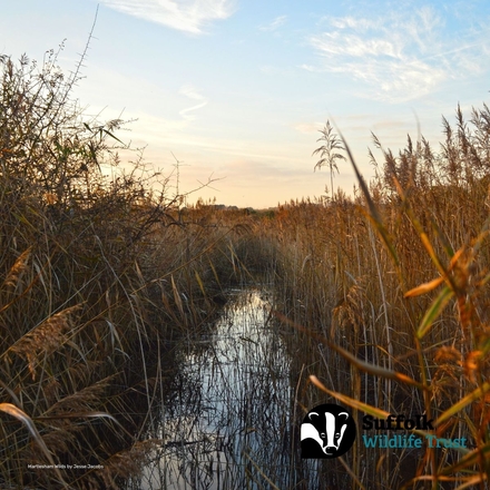 Send a Birthday E-Card eCards