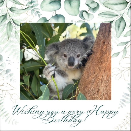 Send a Birthday E-Card eCards