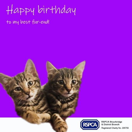 Send birthday cards eCards