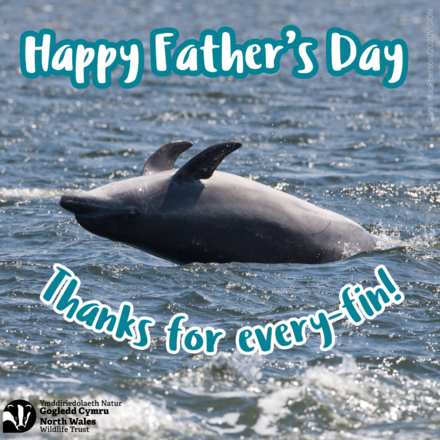 Send a Father's Day Card eCards