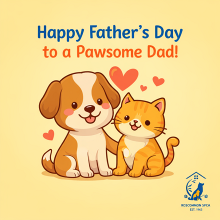 Support Roscommon SPCA eCards