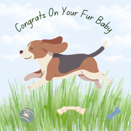 Congratulations on adopting a dog eCards