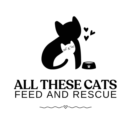 All These Cats Feed and Rescue eCards