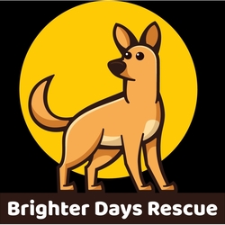 Brighter Days Rescue eCards