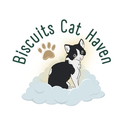 Biscuits Cat Haven eCards