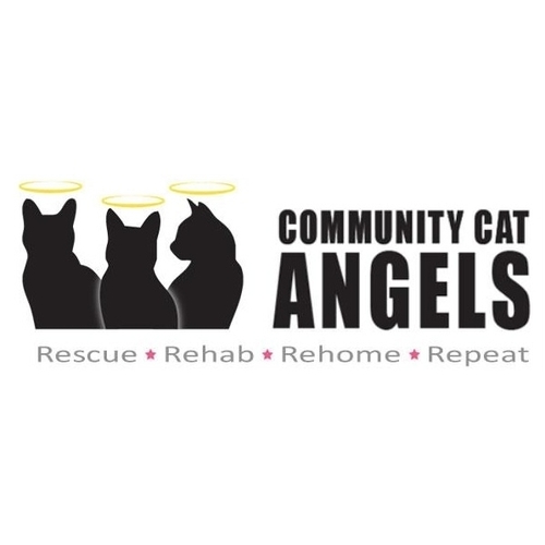 Community Cat Angels eCards