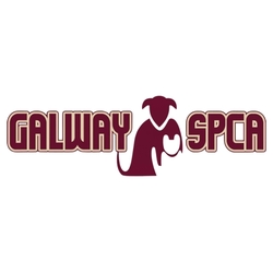 Galway SPCA eCards