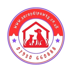 UK Spaniel Rescue eCards