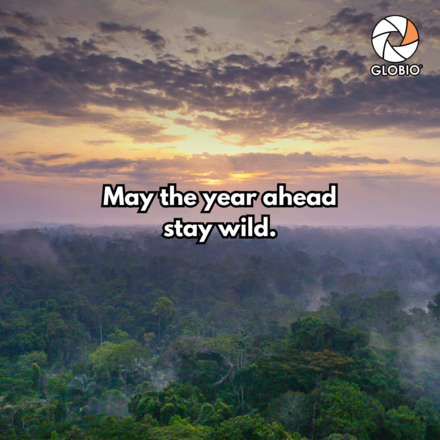 Send Holiday and New Years E-Cards eCards