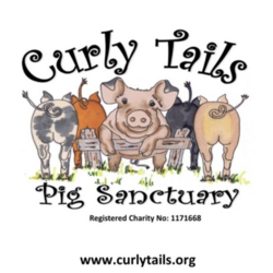 Curly Tails eCards