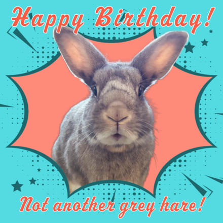Send a Birthday E-Card eCards